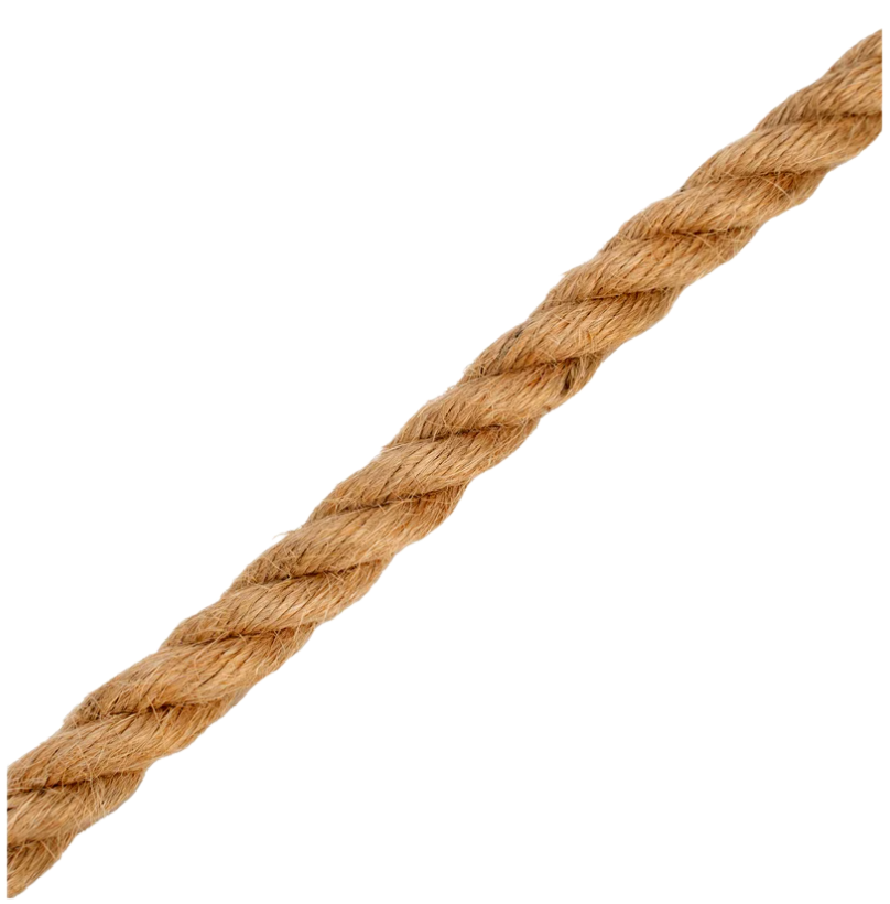 Remove-bg.ai_1744985484861